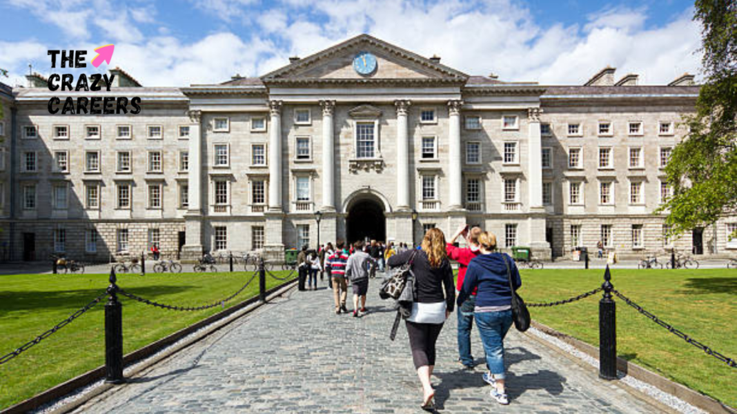 Dynamic Education at Ireland